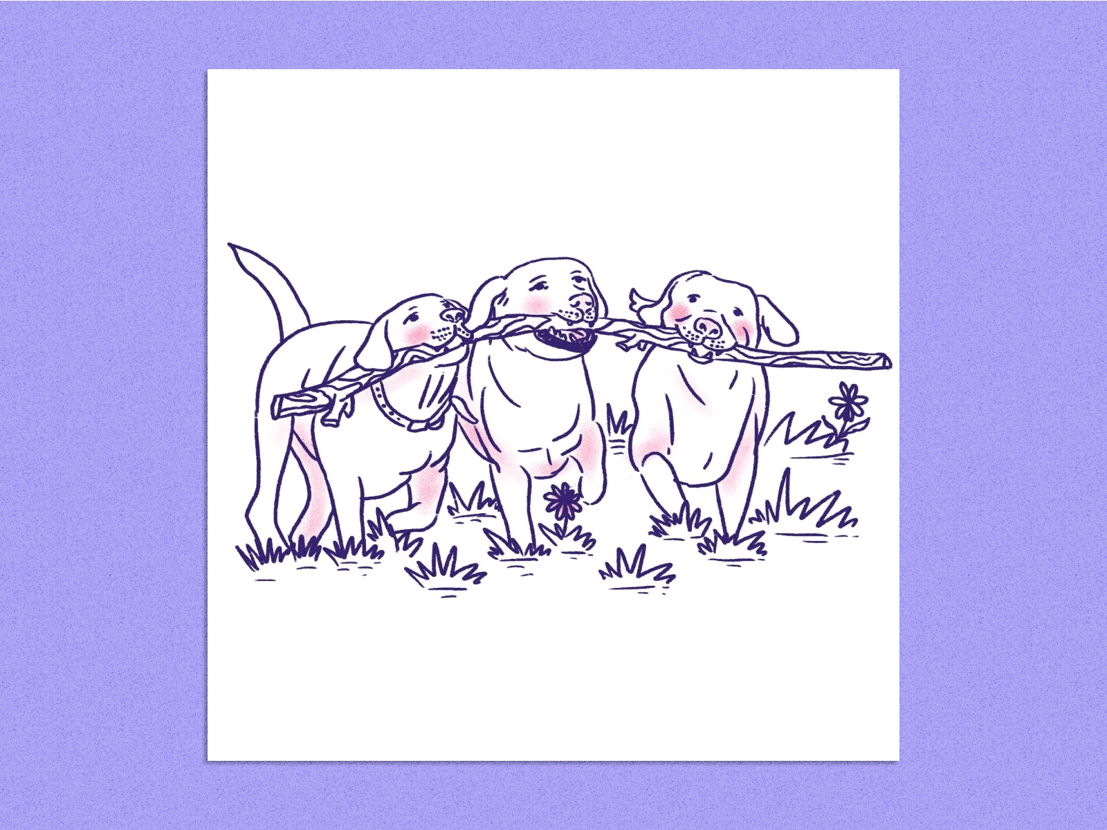 Three cute dogs run together holding one big stick.